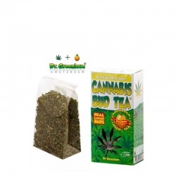 100% TÈ ALLA CANAPA E ANANAS - 20G SFUSO0 DR. GREENLOV