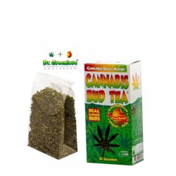 100% TÈ ALLA CANAPA SWEET MANGO - 20G SFUSO0 DR. GREENLOV