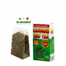 100% TÈ ALLA CANAPA FRAGOLA - 20G SFUSO0 DR. GREENLOV