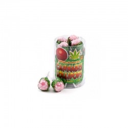 lecca lecca di canapa - strawberry haze x bubblegum - box/10