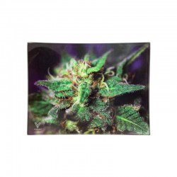 VASSOIO VETRO PICCOLO V SYNDICATE - BLUE DANK