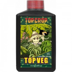 Top Crop Top Veg