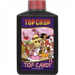 Top Crop Top Candy