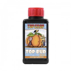 Top Crop Top Bud