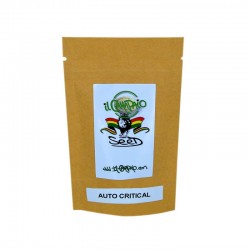 AUTO CRITICAL