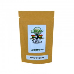 AUTO CHEESE