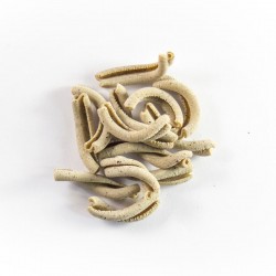 Strozzapreti alla Canapa 250g