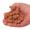 Argilla Espansa
