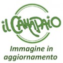 Lingua mm 1,6
